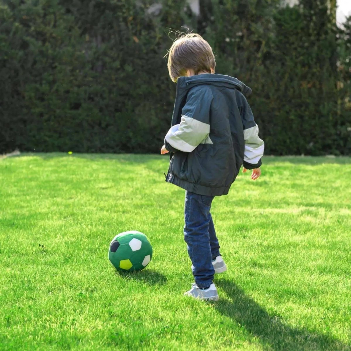 Семена газонной травы SPORT MEISTER GRAS (1 кг),201053