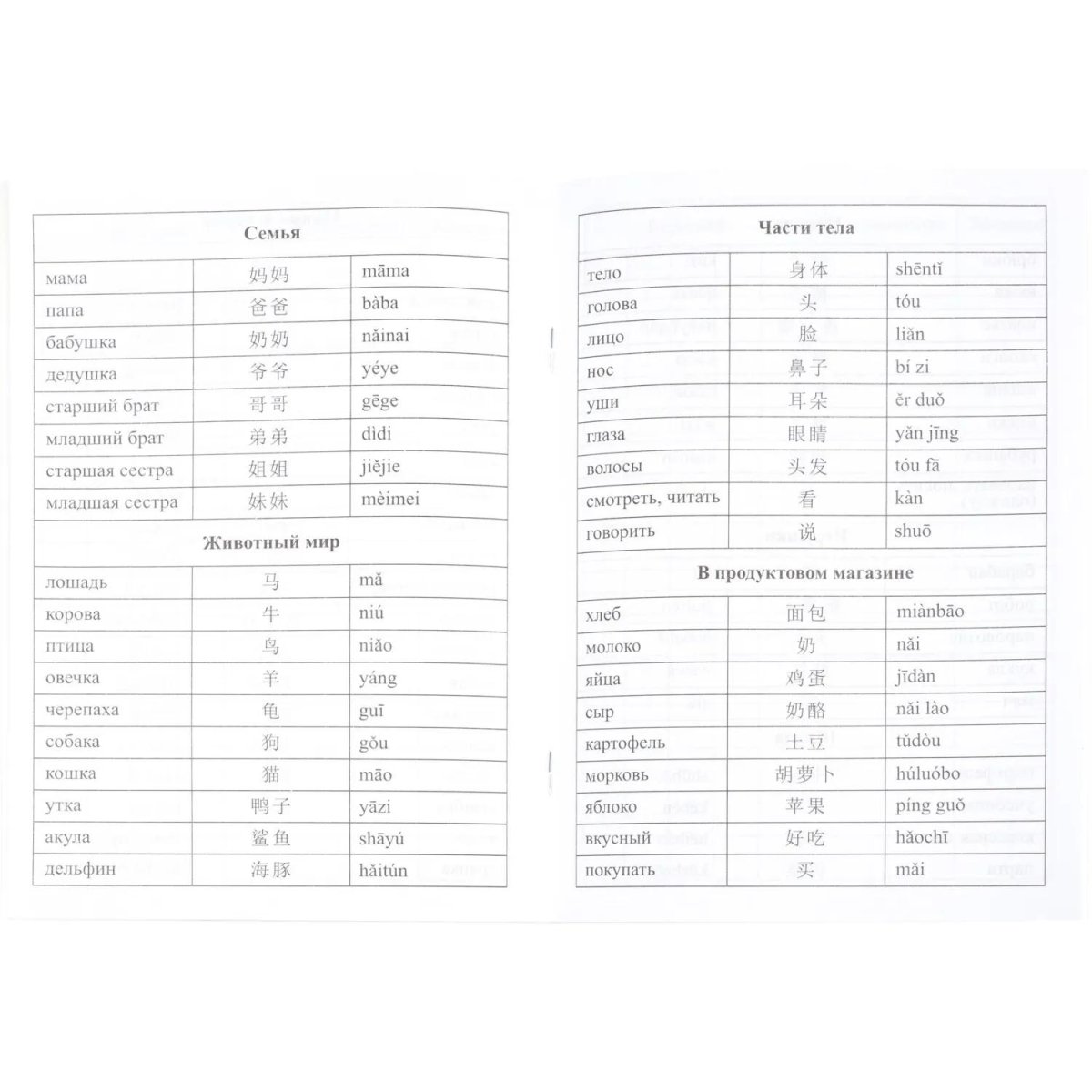 Набор для творчества Изучение китайского языка  6 в 1  КОМ-81