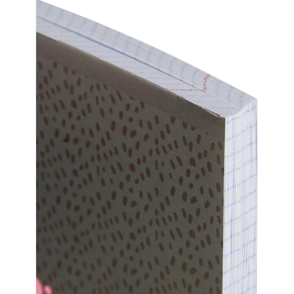 Тетрадь общая А5 96л Panda,клет,скреп., ВД-лак