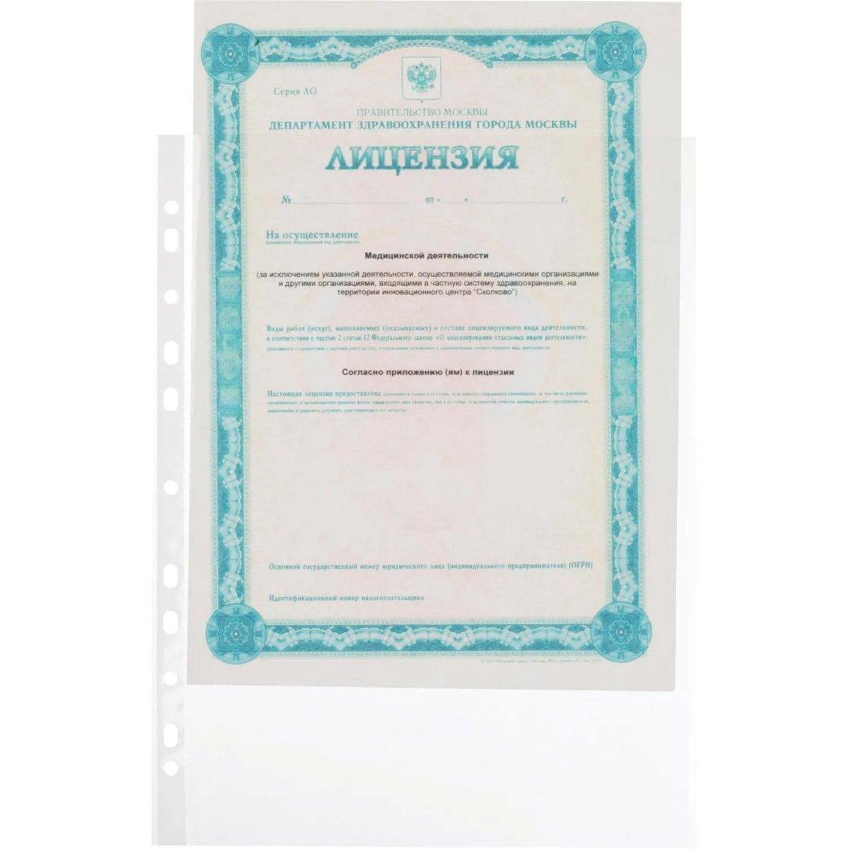 Файл-вкладыш А4 25 мкм, Выбор есть, гладкие, с перф, 100шт./уп